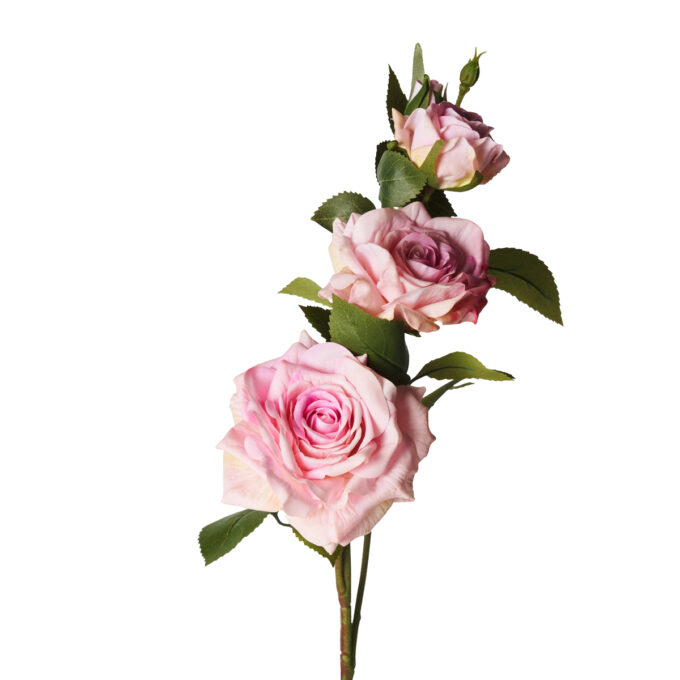 ROSE  "REAL TOUCH" ROSA
