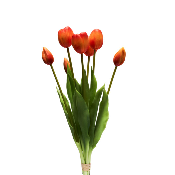 BOUQUET 7 TULIPANI ARANCIO