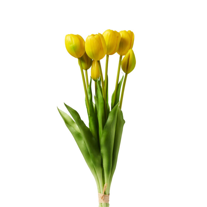 BOUQUET 7 TULIPANI  GIALLI