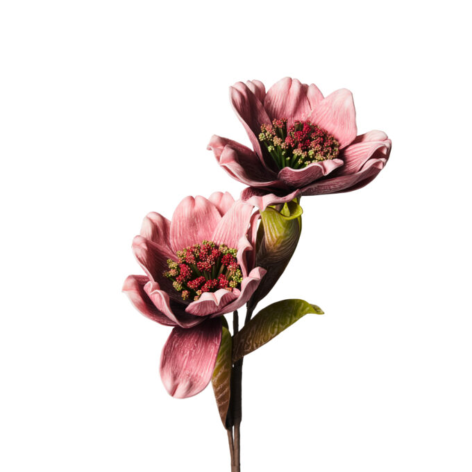 DOPPIA MAGNOLIA ROSA