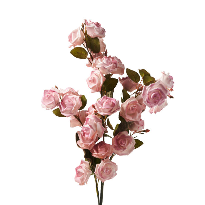 RAMO DI ROSE ROSA