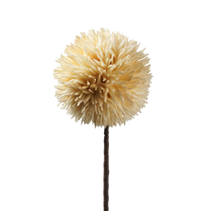 POM POM PANNA